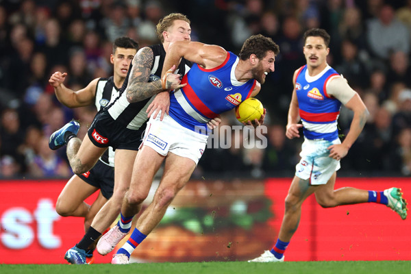 AFL 2024 Round 12 - Collingwood v Western Bulldogs - A-49859200