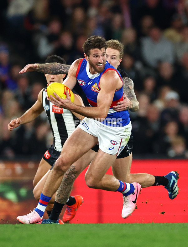 AFL 2024 Round 12 - Collingwood v Western Bulldogs - A-49859202