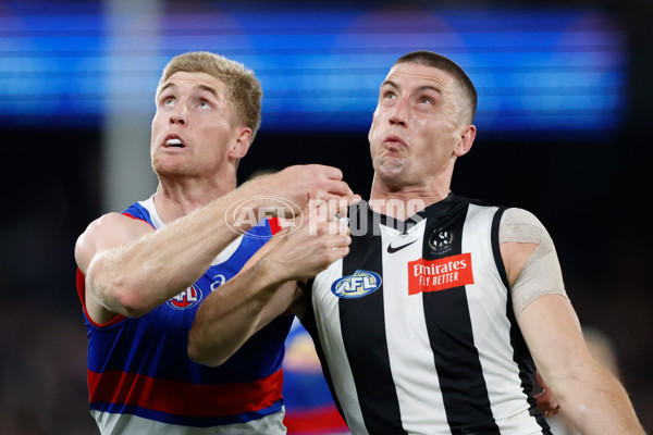 AFL 2024 Round 12 - Collingwood v Western Bulldogs - A-49859208