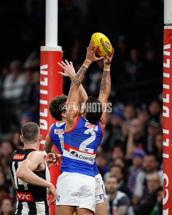 AFL 2024 Round 12 - Collingwood v Western Bulldogs - A-49859209
