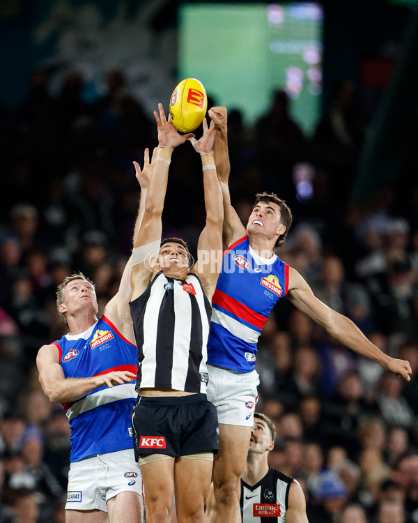 AFL 2024 Round 12 - Collingwood v Western Bulldogs - A-49859211