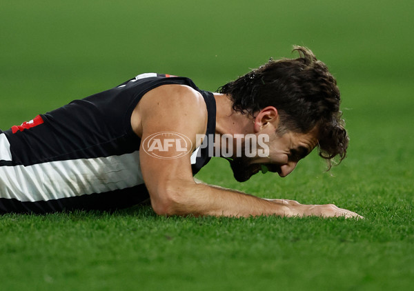 AFL 2024 Round 12 - Collingwood v Western Bulldogs - A-49859227