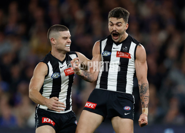 AFL 2024 Round 12 - Collingwood v Western Bulldogs - A-49859229