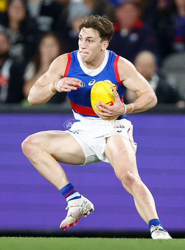 AFL 2024 Round 12 - Collingwood v Western Bulldogs - A-49859243
