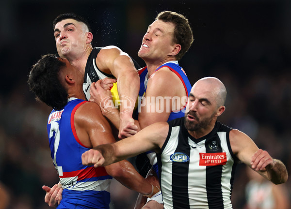 AFL 2024 Round 12 - Collingwood v Western Bulldogs - A-49859255