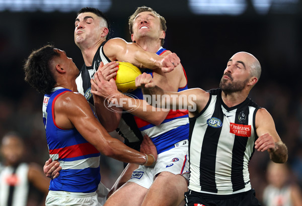 AFL 2024 Round 12 - Collingwood v Western Bulldogs - A-49861290
