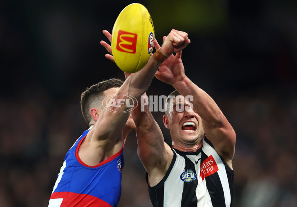 AFL 2024 Round 12 - Collingwood v Western Bulldogs - A-49861293