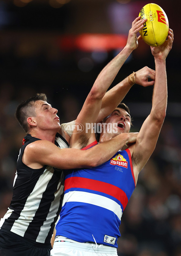 AFL 2024 Round 12 - Collingwood v Western Bulldogs - A-49861294
