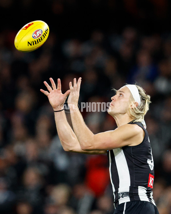 AFL 2024 Round 12 - Collingwood v Western Bulldogs - A-49861303
