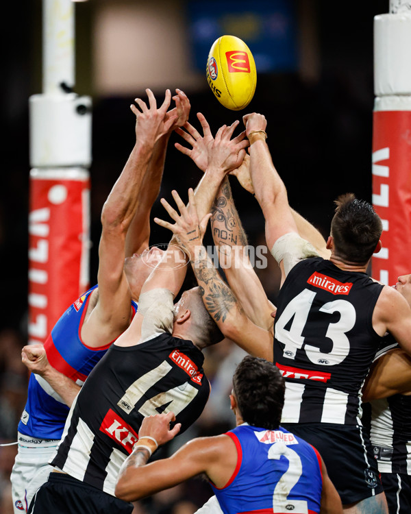 AFL 2024 Round 12 - Collingwood v Western Bulldogs - A-49861306