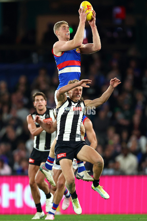 AFL 2024 Round 12 - Collingwood v Western Bulldogs - A-49861323