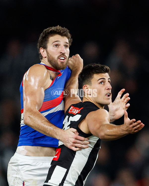 AFL 2024 Round 12 - Collingwood v Western Bulldogs - A-49861327
