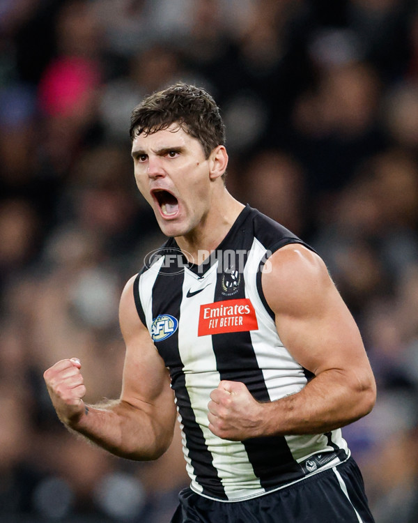 AFL 2024 Round 12 - Collingwood v Western Bulldogs - A-49861328