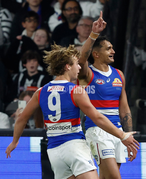 AFL 2024 Round 12 - Collingwood v Western Bulldogs - A-49861353