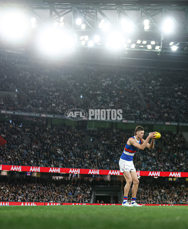 AFL 2024 Round 12 - Collingwood v Western Bulldogs - A-49861357