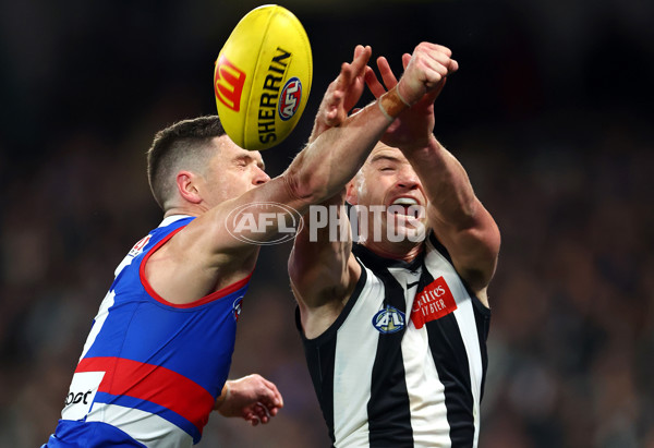 AFL 2024 Round 12 - Collingwood v Western Bulldogs - A-49861483