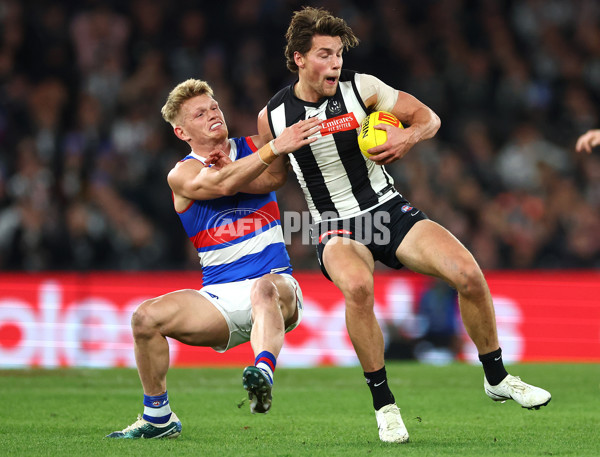 AFL 2024 Round 12 - Collingwood v Western Bulldogs - A-49861489