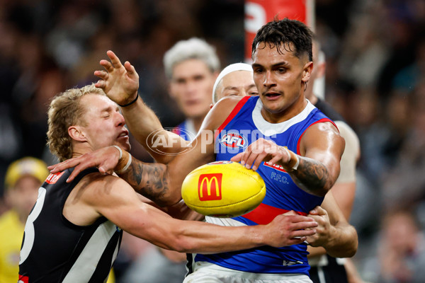 AFL 2024 Round 12 - Collingwood v Western Bulldogs - A-49861492