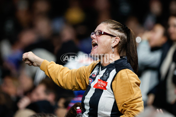 AFL 2024 Round 12 - Collingwood v Western Bulldogs - A-49861494