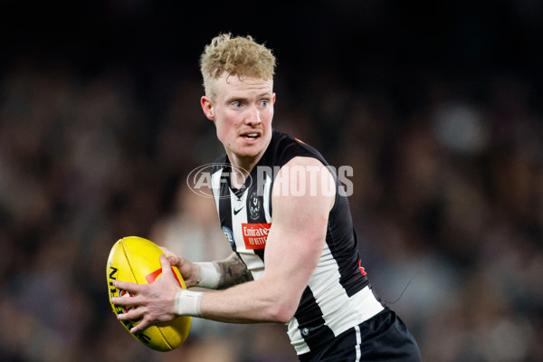AFL 2024 Round 12 - Collingwood v Western Bulldogs - A-49861516