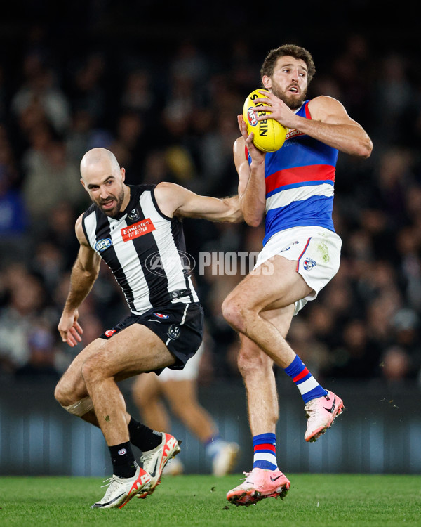 AFL 2024 Round 12 - Collingwood v Western Bulldogs - A-49861517