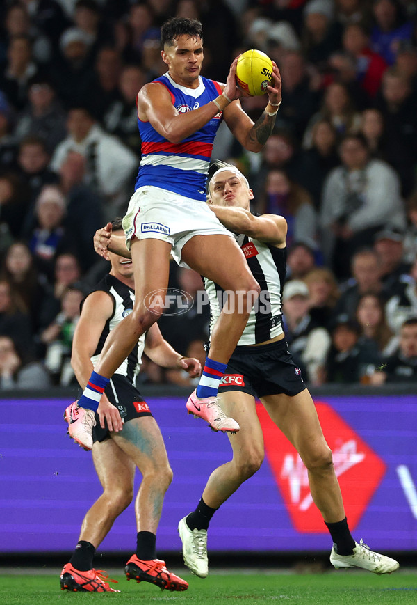 AFL 2024 Round 12 - Collingwood v Western Bulldogs - A-49861538