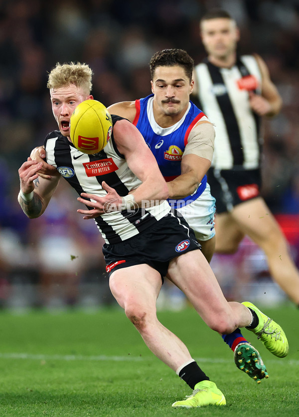 AFL 2024 Round 12 - Collingwood v Western Bulldogs - A-49861542
