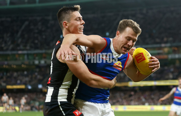 AFL 2024 Round 12 - Collingwood v Western Bulldogs - A-49861562