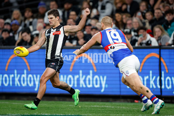 AFL 2024 Round 12 - Collingwood v Western Bulldogs - A-49861571