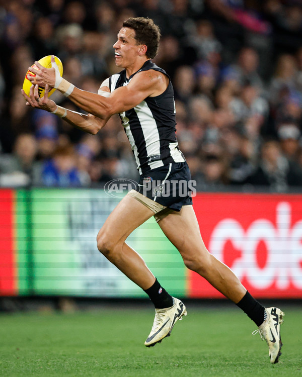 AFL 2024 Round 12 - Collingwood v Western Bulldogs - A-49861575