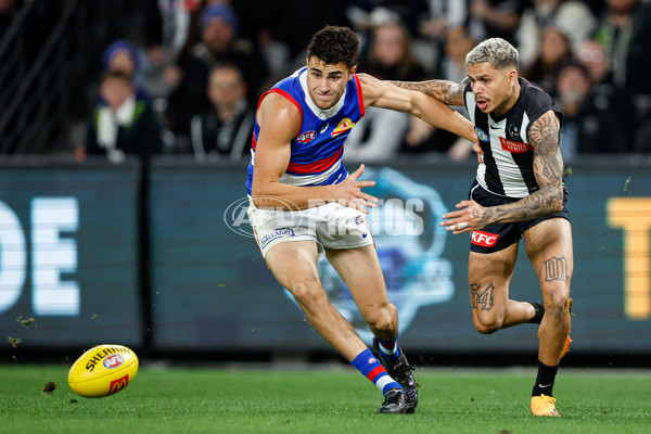 AFL 2024 Round 12 - Collingwood v Western Bulldogs - A-49861576