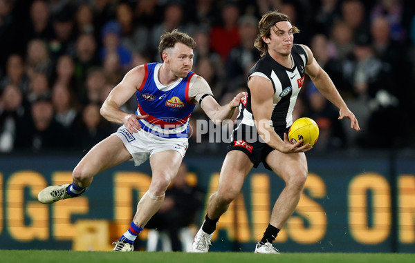 AFL 2024 Round 12 - Collingwood v Western Bulldogs - A-49863603
