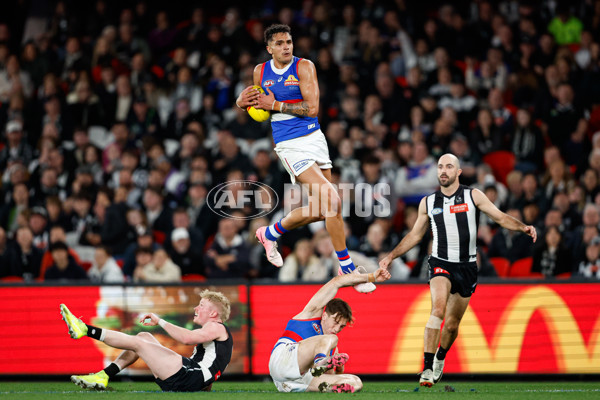 AFL 2024 Round 12 - Collingwood v Western Bulldogs - A-49863618