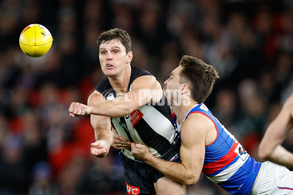 AFL 2024 Round 12 - Collingwood v Western Bulldogs - A-49863622