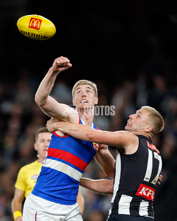 AFL 2024 Round 12 - Collingwood v Western Bulldogs - A-49863623
