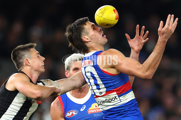 AFL 2024 Round 12 - Collingwood v Western Bulldogs - A-49866077