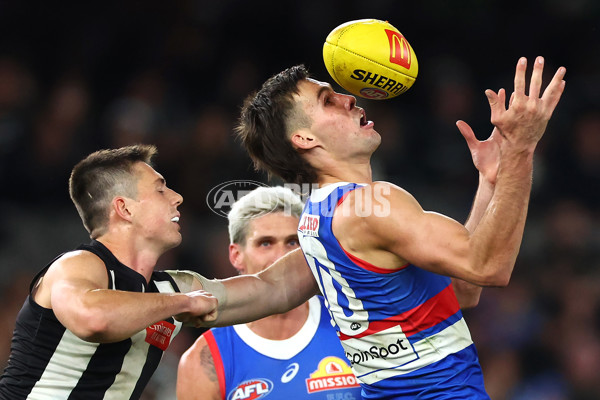 AFL 2024 Round 12 - Collingwood v Western Bulldogs - A-49866083