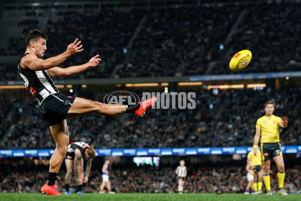 AFL 2024 Round 12 - Collingwood v Western Bulldogs - A-49866113