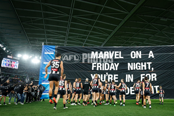 AFL 2024 Round 12 - Collingwood v Western Bulldogs - A-49866114