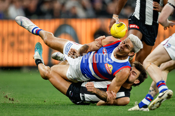 AFL 2024 Round 12 - Collingwood v Western Bulldogs - A-49866779