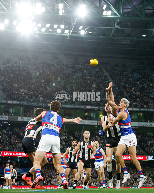 AFL 2024 Round 12 - Collingwood v Western Bulldogs - A-49866780