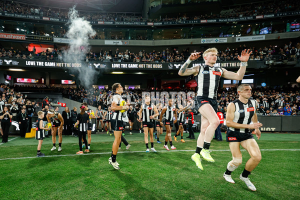 AFL 2024 Round 12 - Collingwood v Western Bulldogs - A-49866781