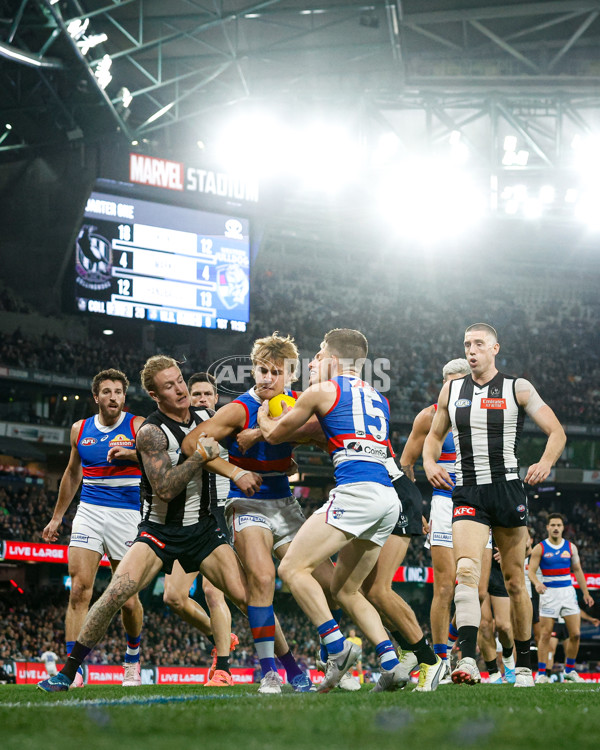 AFL 2024 Round 12 - Collingwood v Western Bulldogs - A-49866787