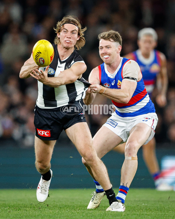 AFL 2024 Round 12 - Collingwood v Western Bulldogs - A-49866815