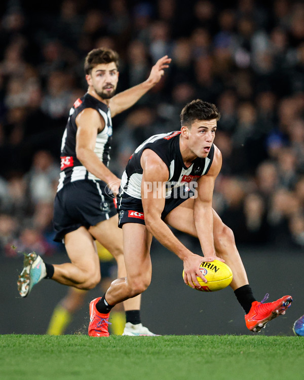 AFL 2024 Round 12 - Collingwood v Western Bulldogs - A-49866822
