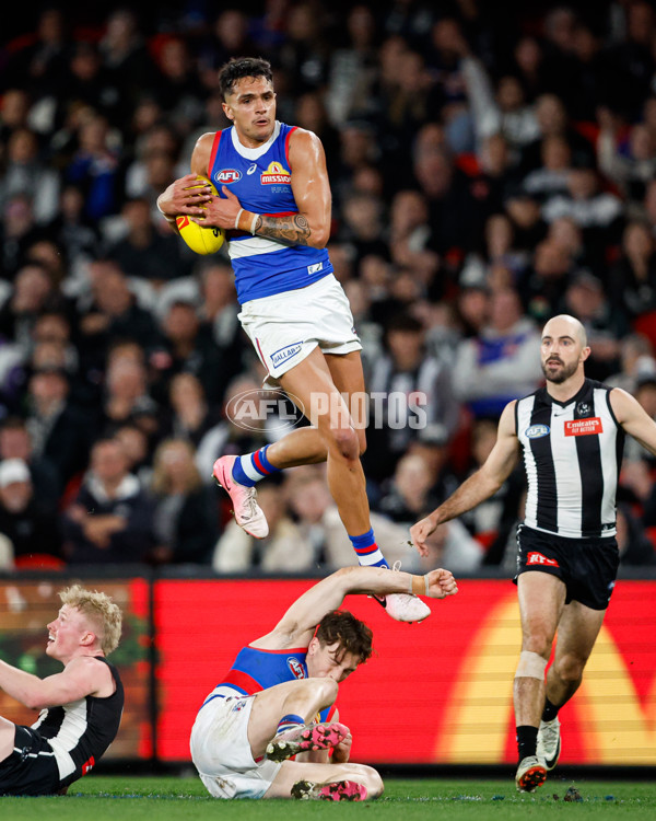 AFL 2024 Round 12 - Collingwood v Western Bulldogs - A-49868473