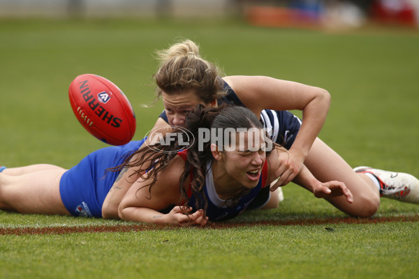 VFLW 2024 Round 11 - Geelong v Western Bulldogs - A-49868543