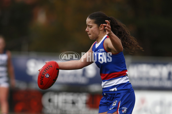 VFLW 2024 Round 11 - Geelong v Western Bulldogs - A-49869269