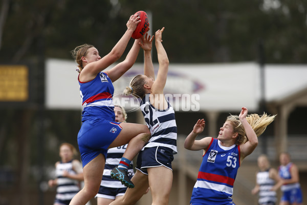 VFLW 2024 Round 11 - Geelong v Western Bulldogs - A-49869274