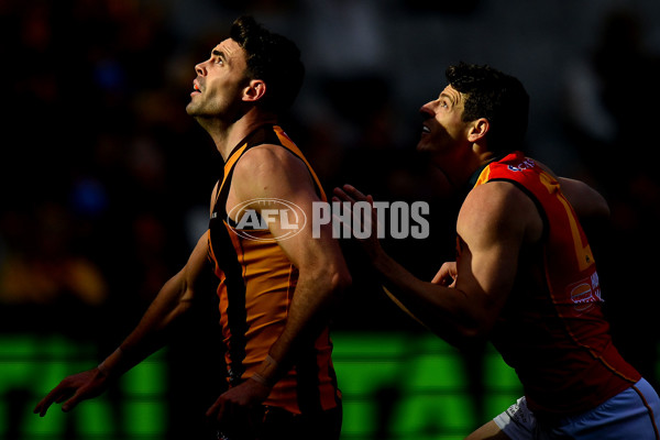 AFL 2024 Round 12 - Hawthorn v Adelaide - A-49872398